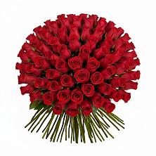Красные розы Чери Лав